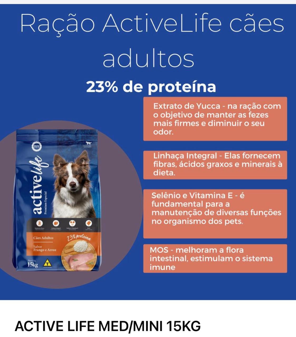 ACTIVE CAES ADULTOS